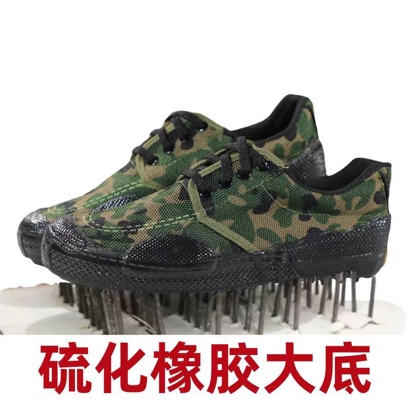 微信图片_20240802151649