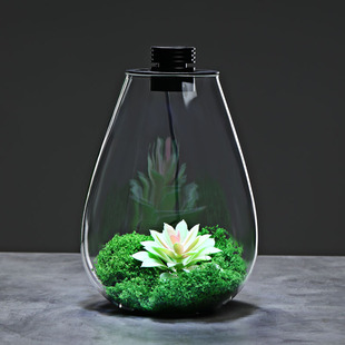 Collect Handmade Desktop Micro-Landscape Bottles, Ecological Bottles, Mini Small Landscaping Bottles, Round Bottles, Glass Bottles, Fish Tanks, Bonsai