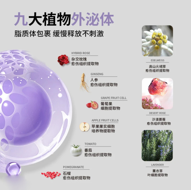 PDRN三文鱼瓷娃娃碳酸炮面膜抗皱紧致提亮肤色外泌体注氧碳酸面膜|undefined
