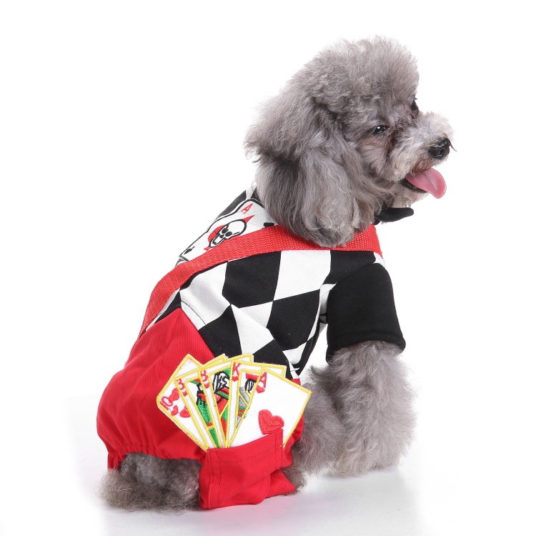 爆金犬ハロウィーンは服装をしている祝日を祝って、高強マジックはしわに強いペット服装をしている|undefined