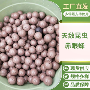 �S�҃������l�N�۵������۷䡢���S���۷���ѿ���������