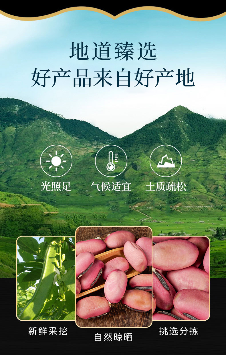 Red Sword Bean (Canavalia gladiata) — Dried Food Herb, Whole Beans & Custom Powder overview