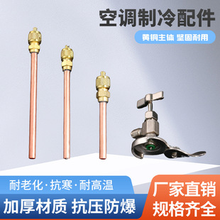 �S�����l���{��������ӷ������y ��ý����y��ѩ�N�����Һ�y