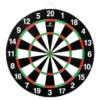 S &amp; P is special 15 Dart Board Flocking Syringe needle Dartboard suit Bodybuilding entertainment match Flying Standard Disk 6