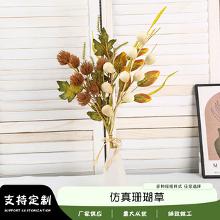 ����ɺ���ݿ羳�¿�ٻ���c�»�Y�������bƵ�zӰ���߼ٻ���