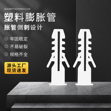 l~PEÛzÛÛ˨6/7/8/10/12ݼy˨