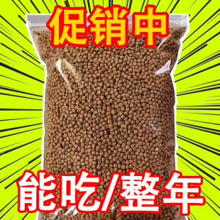 龟粮龟饲料小乌龟饲料巴西龟鳄龟粮水龟粮开口粮食龟饲养草龟饲料