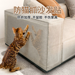 Spot Anti-Cat Scratch Sofa Stickers 5 Pieces Cat Fixed Stickers Leather Sofa Protective Stickers Anti-Cat Scratch Stickers Wholesale