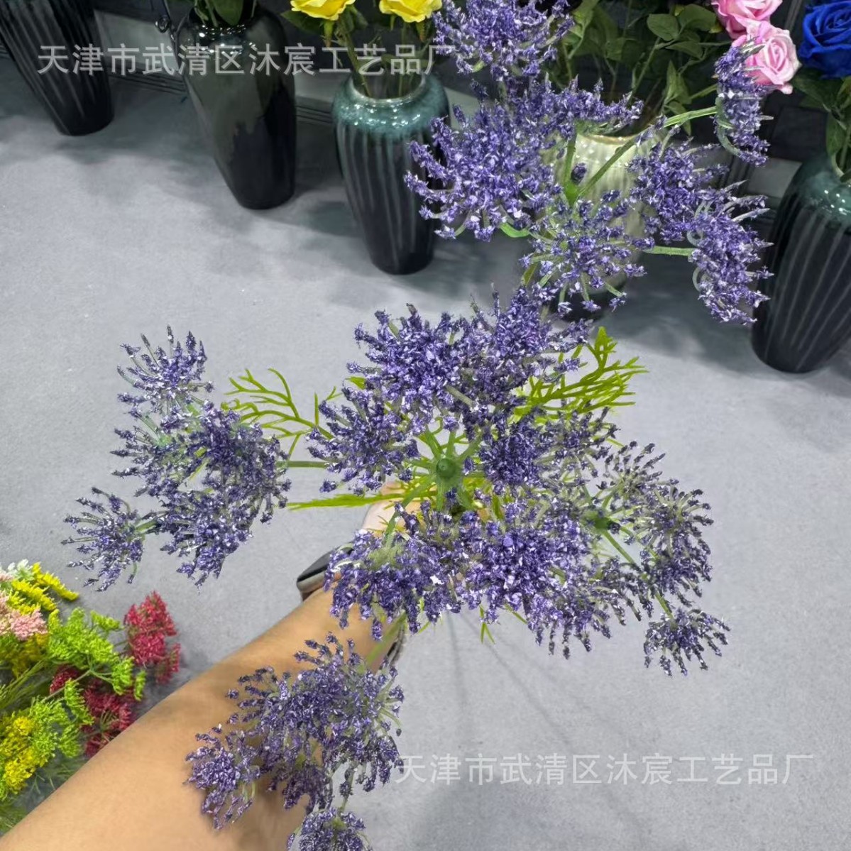 보라