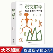 说文解字详解正版给孩子的汉字王国许慎著象形文字演变书图解