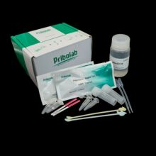 �����������ţ�铽�ٿ��ٙz�yԇ���l��zֱ�N��Ҏ���ṩ���g֧��