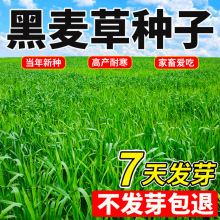 lݷNϻޣݲţļ߮aݷN