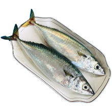 ���u�Ʒ���r ����С�໨�~ ����T�E�~��ռ�~���r���l�����l���~