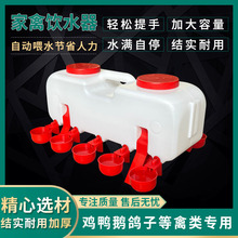 3养殖鸡用自动饮水器小鸡用水壶家禽自动饮水碗鸭子喝水碗喂水碗