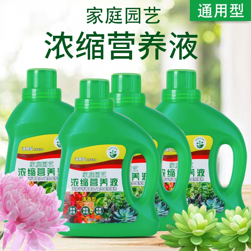 Цветочное растение в горшке составное удобрение общее химическое удобрение питательный раствор овощ зеленый укроп богатое дерево органическое удобрение порошок для укоренения