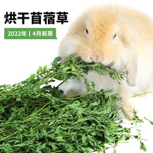 紫花苜蓿草批发豚鼠荷兰猪草粮龙猫新干草兔粮饲料食物兔子1kg