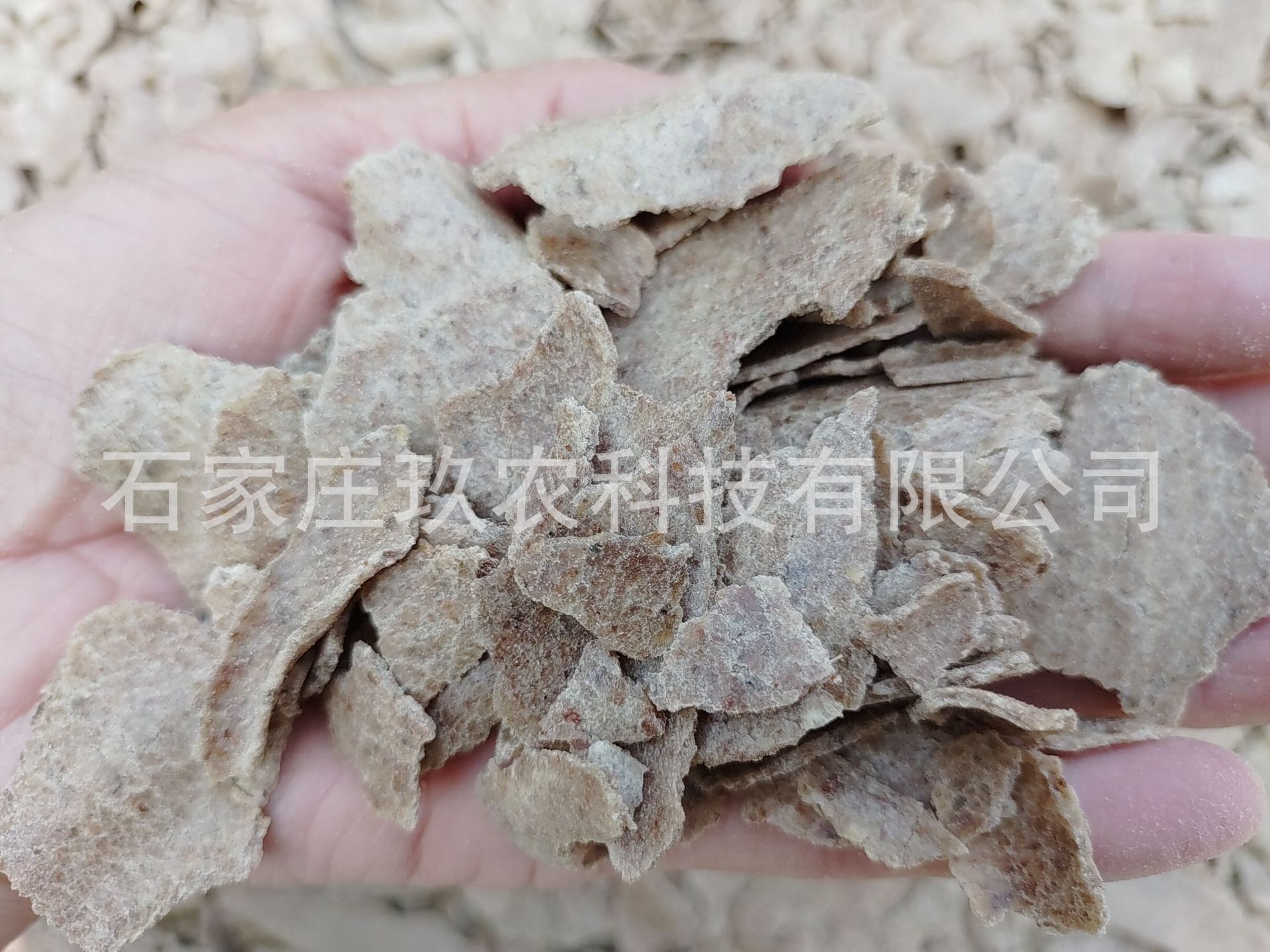 02ea155cd30bed758f0fee4ad6d762