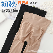 女士春秋无绒加大加肥锦纶巨肥打底袜裤光腿打底袜裤
