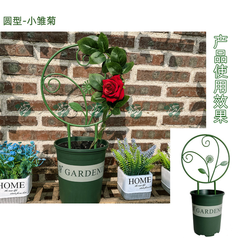 O1CN01Q6pHWa21NE8lWiciP_!!2213