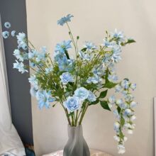 26��\�{ɫϵ����õ�彑����滨��c��ˇ�Ƶ��b��廨·���ٻ�
