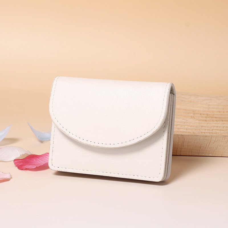 Solid Color Card Holder For Passport And Travel Essentials_voghion.com