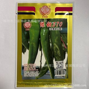 �����ƾG��570�ش����⽷�N���ļ������̨����Nֲ�S�����l