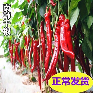 ���n�ɽ������r���������N�Ӵ��Ĳ������N�Ѿ�������ζ��