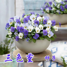 �����ͺ���ɫ�����N�� �����ļ��_������С����؈Ę�҃��̨ͥԺ