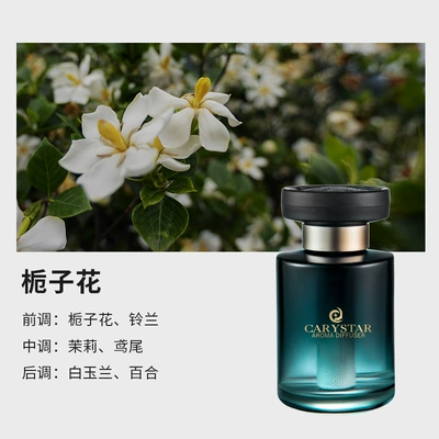 [Premium Selection] Car Fragrance Car Perfume Aromatherapy - gradient-green-gardenia