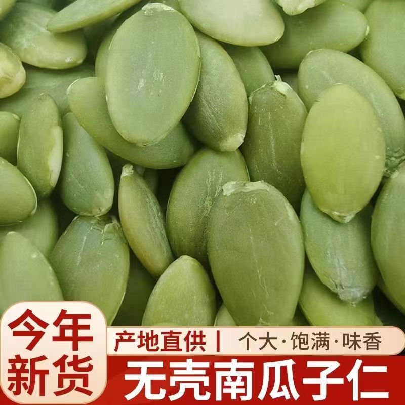 【新入荷】かぼちゃの種本来の味 焙煎済み大粒かぼちゃの種 6g入りバラ売り スナック 一件代発|undefined