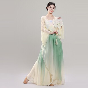 古典舞身韵纱衣女仙气飘逸雪纺练功服上衣中国舞蹈服装新款演出服-阿里巴巴