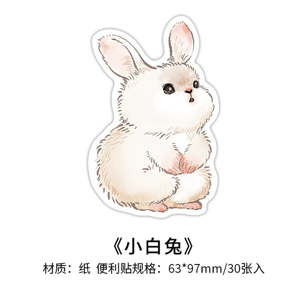 Little white rabbit