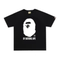 D729 Black