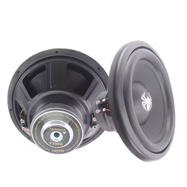 Hot Selling 12inch Car Subwoofer 150W 12V Dc Dual Coil Bass Car Speaker