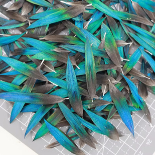 �c����ë ���ϝ{�´��Bë�W�^ë��ȸ������ë�c��diy��������