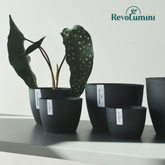 熱植専用のプラスチックの植木鉢に厚い環境保護の多肉の根の植物の鉢植えの植木鉢のテキーラの仙人のボールの植木鉢