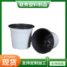 ��ɫ��������ú��׻��ܲ�ɫ�������l�������ԷNֲ����ܛ������