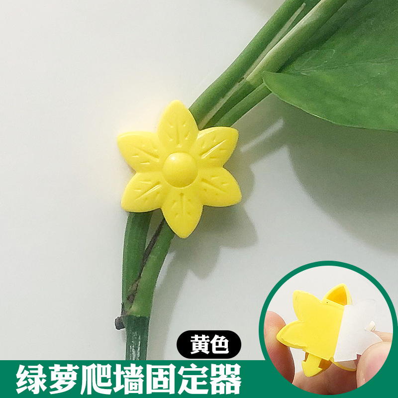 アマゾンの新型の花の緑のロロの固定器の痕跡がない家庭用のフックの掛け金の壁掛けのつるの植物のクリップ|undefined