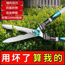 �@ˇ�����h�ʼ���ƺ�������޼���֦�G�h�����ߴ�֦�@�ִ����ֱ�l