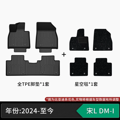 craftsmanship, eco-friendly material, zero — Modelə uyğun ayaqaltı - 24-present-model-byd-song-l-dm-i-tpe-floor-mats-starry-sky-carpet