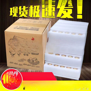 Pearl Cotton Egg Tray Household Egg Packaging Box for Express Delivery Shock-Proof and Drop-Proof Packaging Box Wholesale