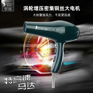 Factory wholesale Barbie Disi 918 hair stylist high-power hair dryer hair salon household quick-drying mute hair dryer