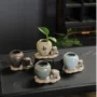 桌面陶瓷水培水养花盆