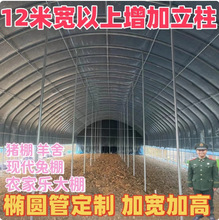 养殖大棚养鸡牛羊猪全套西瓜蔬菜骨架钢管种植香菇水产果蔬