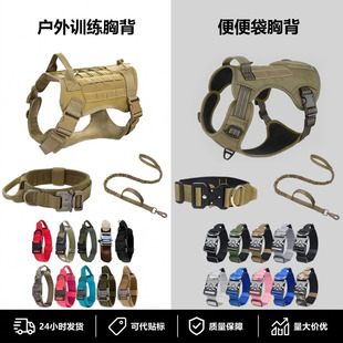 �¿�羳���{�������_��������Ȯ���g�Ȧ����Ӗ���ر����K���Ȧ