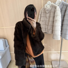 �������S���l���|��Ƥ��Ů���̿��Ƥëһ�w�Ӻ����·���2025�¿�