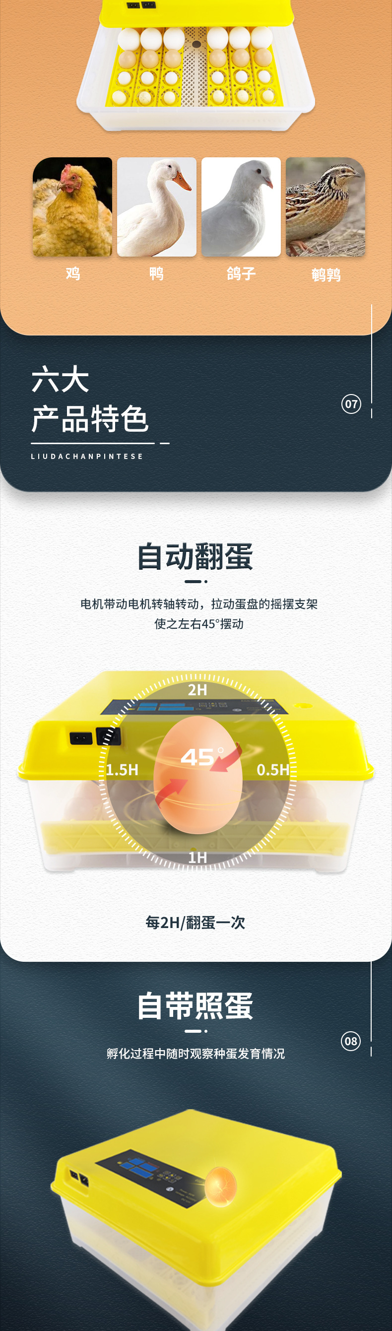 48枚双电源（花篮蛋盘）已修改_04