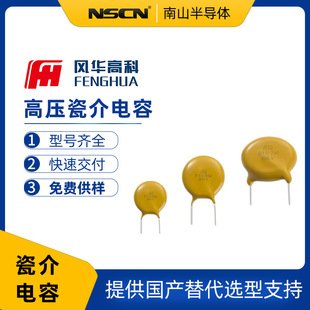 CT81-N6Y5P1B101KSEW �L�A ֱ��߉��ɽ���� 100pF &plusmn;10% 1kV