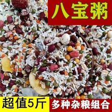 八宝粥米 原料熬粥材料五谷杂粮组合粗粮营养早餐腊八粥养生粥1斤
