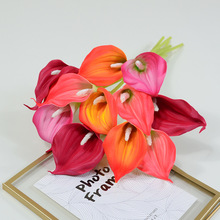 6̖�R��ɏ��֦EVA���溣���ָ��^��ɏ�͏d��׾Ƶ�����廨�b�